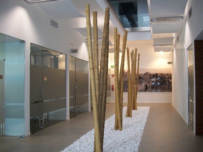 VIVERO EMPRESAS ELCHE