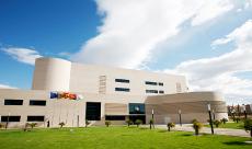 UMH Universidad Miguel Hern�dez