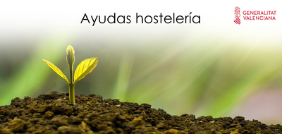 AYUDAS HOSTELERA