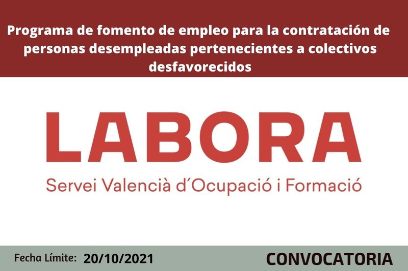 Ampliar imagen