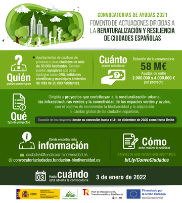 Bases convocatoria ciudades