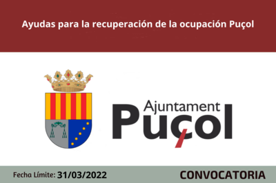 Ayudas Pu�ol