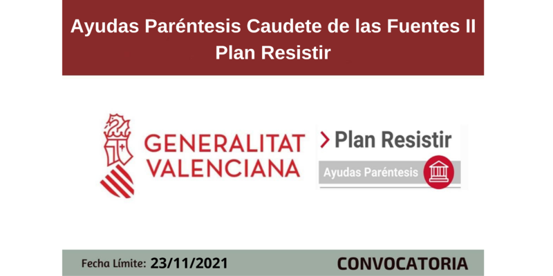 Ampliar imagen