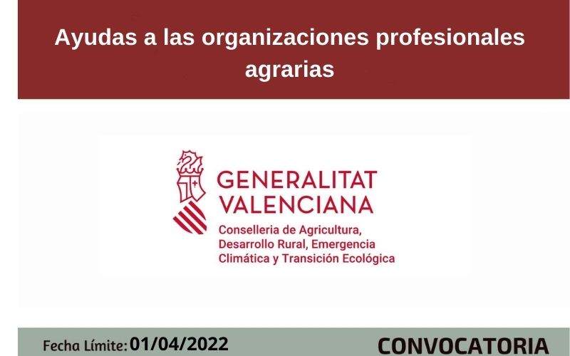 Ampliar imagen