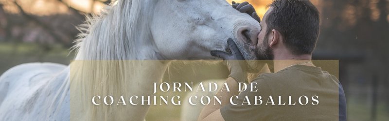 JORNADA DE COACHING CON CABALLOS[;;;][;;;]