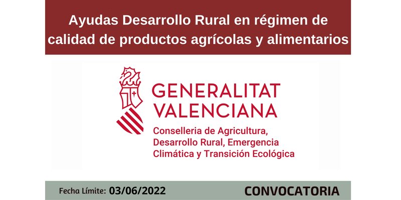 Ampliar imagen