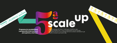 Banner Scale Up 2022