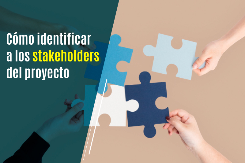 Stakeholder