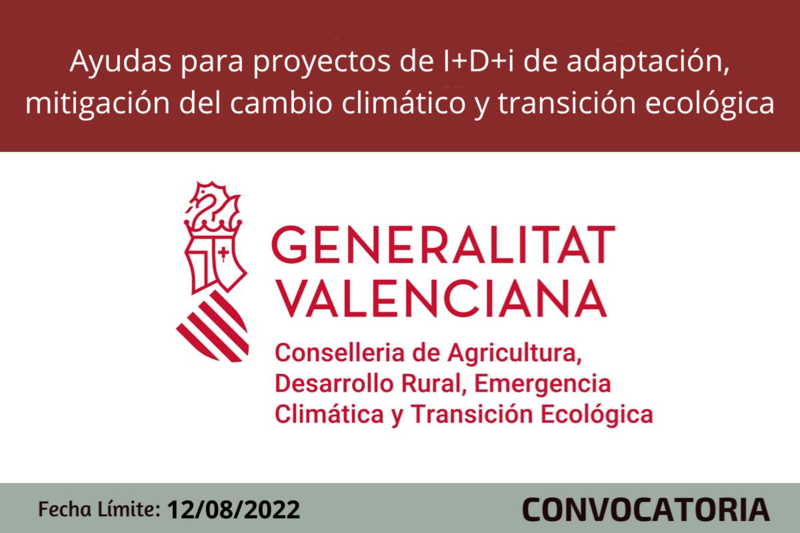 Ampliar imagen