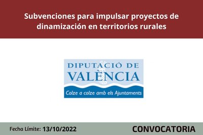 Subvenciones para proyectos de dinamizaci�n socioecon�mica para municipios rurales o en riesgo de despoblamiento