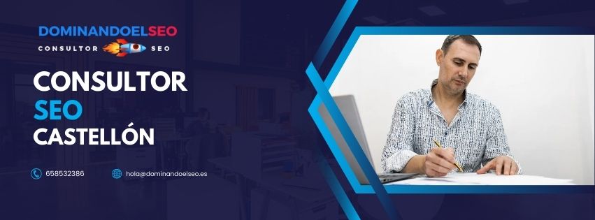 Consultor SEO Castell�n - DominandoelSEO