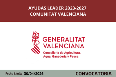 AYUDAS LEADER CV
