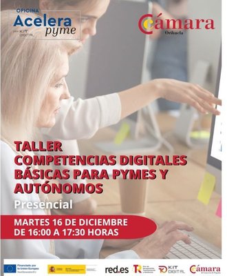 Alfabetizaci�n inform�tica para pymes y aut�nomos