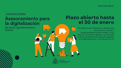 Ayudas al asesoramiento para la digitalizaci�n del sector agroalimentario y forestal