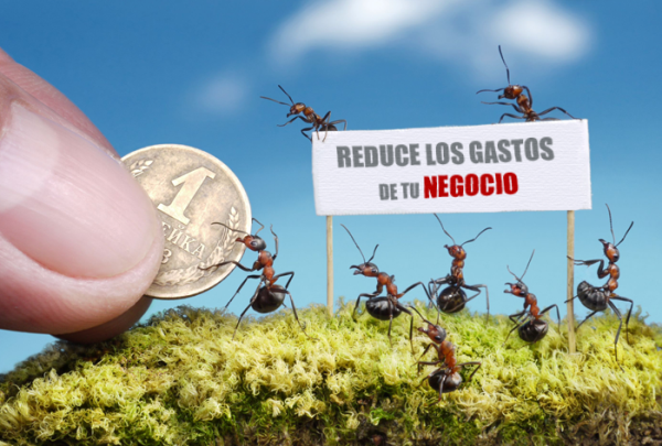 reducción costes