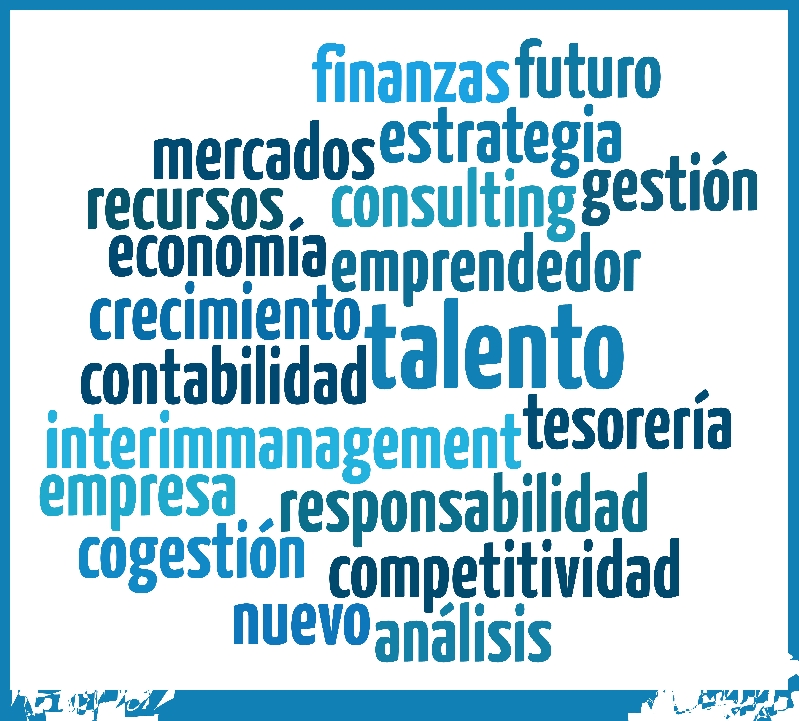 COGESTI�N CONSULTING