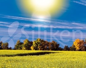 Im�gen publicitaria SILIKEN