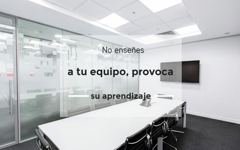 Ampliar imagen