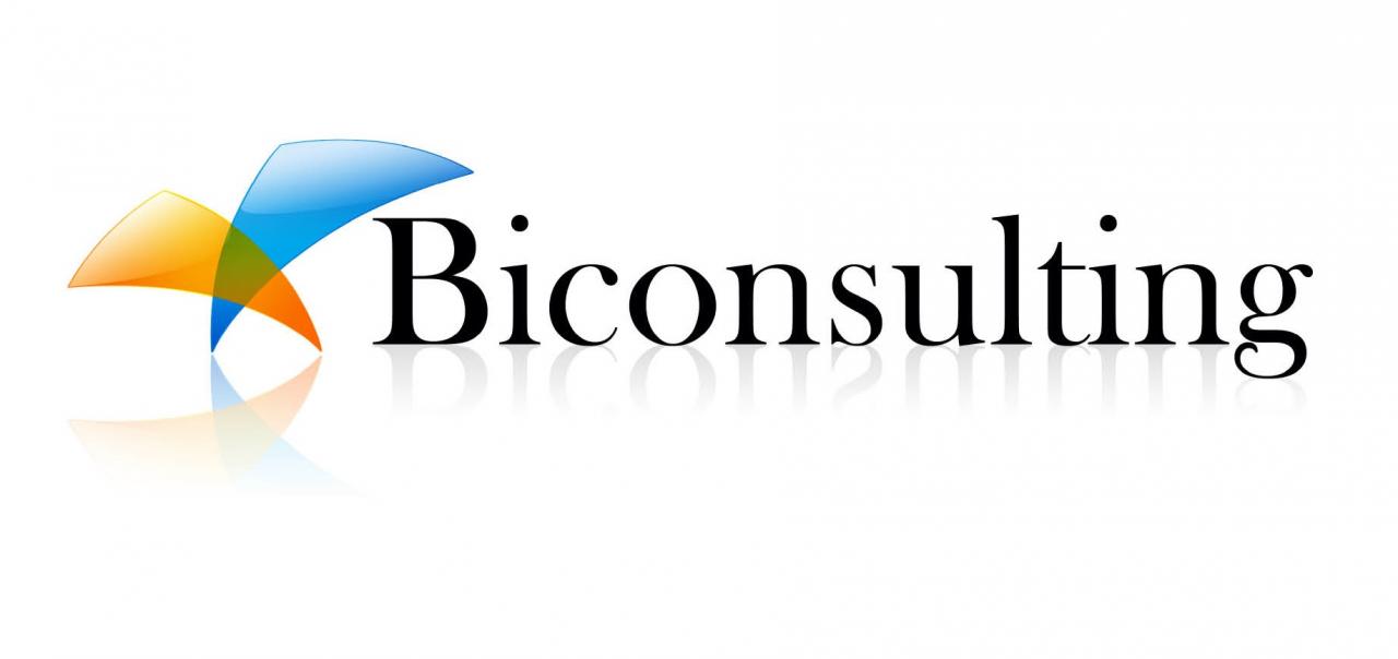 Biconsulting