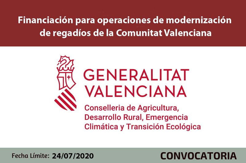 Ampliar imagen