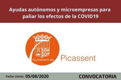 Bases ayudas Pla �Tornem�  Picassent