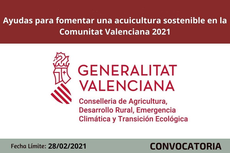 Ampliar imagen