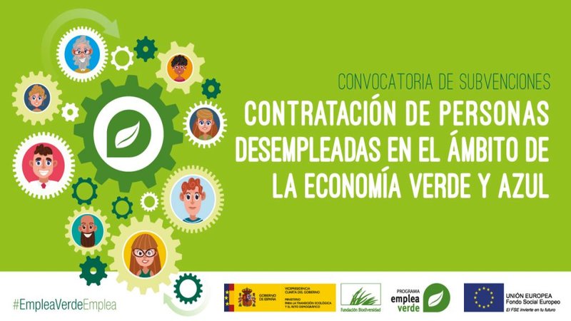 Ampliar imagen