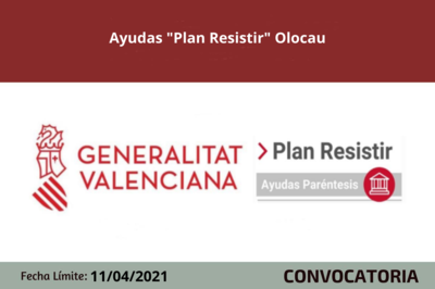 Bases de la convocatoria
