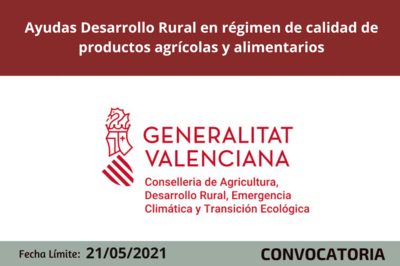 Bases de la Convocatoria